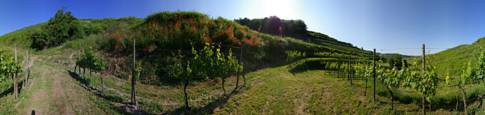 Kaiserstuhl, Auf dem Eck
